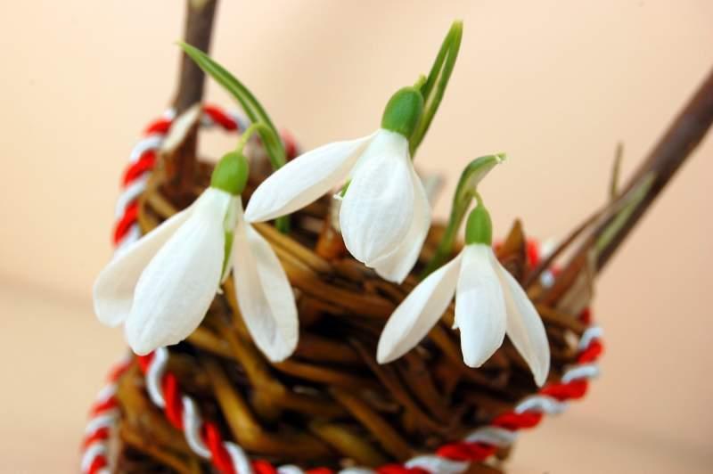 1 Martie Fericit! Cele mai frumoase urări, sms-uri și poezii de Mărțișor