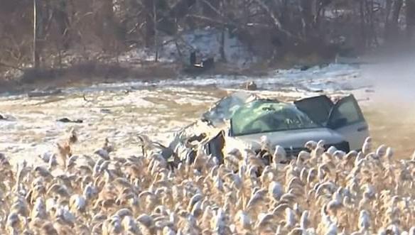 Cinci copii au murit, după ce au fost aruncați dintr-o mașină, într-un accident teribil! Doar adulții care îi însoțeau au supraviețuit. Foto