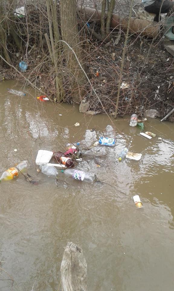 Imagini șocante pe un pârâu din Bihor! Mii de sticle din plastic zac aruncate pe apă poluând întreaga localitate