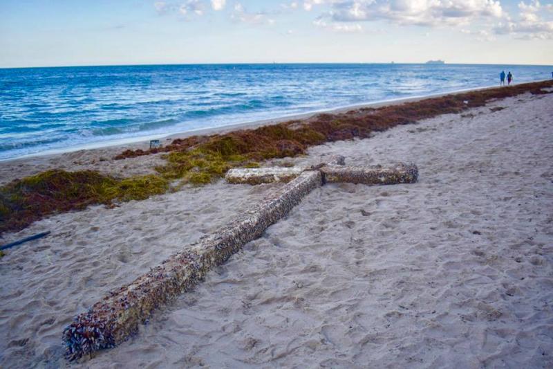 Uimitor! O cruce imensă a apărut pe o plajă din SUA! „Este semn de la Dumnezeu”. Foto