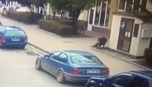 VIDEO Mai multe persoane au fost atacate de un porc mistreț pe străzile din Șimleul Silvaniei! Trei oameni au ajuns la spital