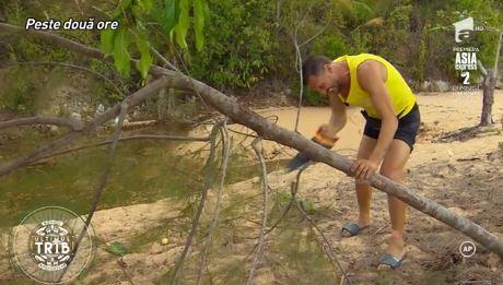 Lemurii au pierdut și au ajuns pe insula pustie: ,,Am tăiat la lemn, zici că eram drujbă! Înjuram și tăiam”