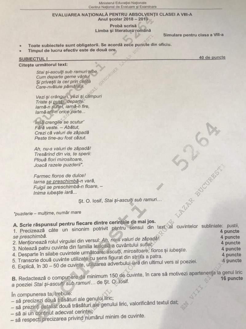 Subiecte Simulare Evaluare Națională. Avem Subiectele! Ce a picat la Limba Română a-VIII-a