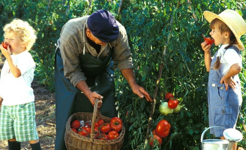 Sănătate copii în România. 5 factori esențiali pentru alimentația sănătoasă la copii