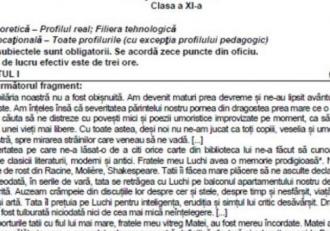 Subiecte Simulare Bac 2019 Clasa A Xii A Ce Pică La Limba Romană Www Infoziare Ro