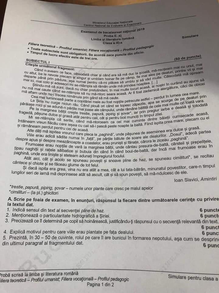 Subiecte Simulare Bac 2019 Limba Română. Avem subiectele! Ce a picat la clasa XI-a, UMAN