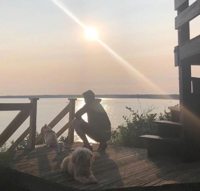 Sunt răsfățați ca niște copii! Celebrități care își iubesc câinii la fel de mult ca oamenii obișnuiți