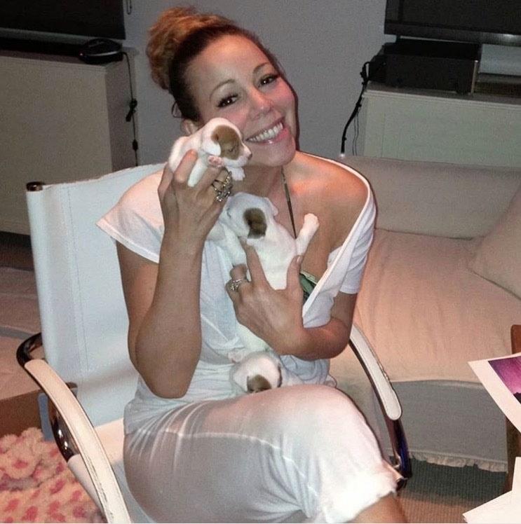 Sunt răsfățați ca niște copii! Celebrități care își iubesc câinii la fel de mult ca oamenii obișnuiți