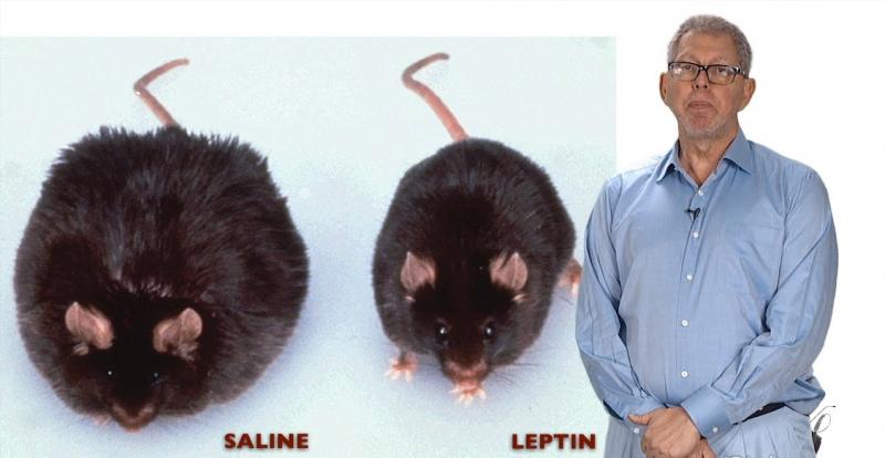 Oamenii de știință au dat verdictul: Te îngrași în timp ce respiri!