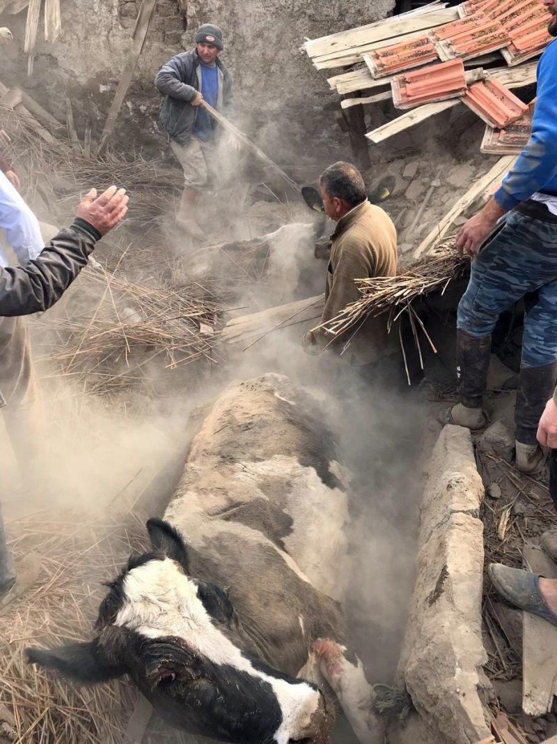 Dezastru în Turcia, după cutremurul de 5,6 grade pe scara Richter! Zeci de clădiri s-au prăbușit, iar numeroase animale au fost prinse sub dărâmături! - FOTO 