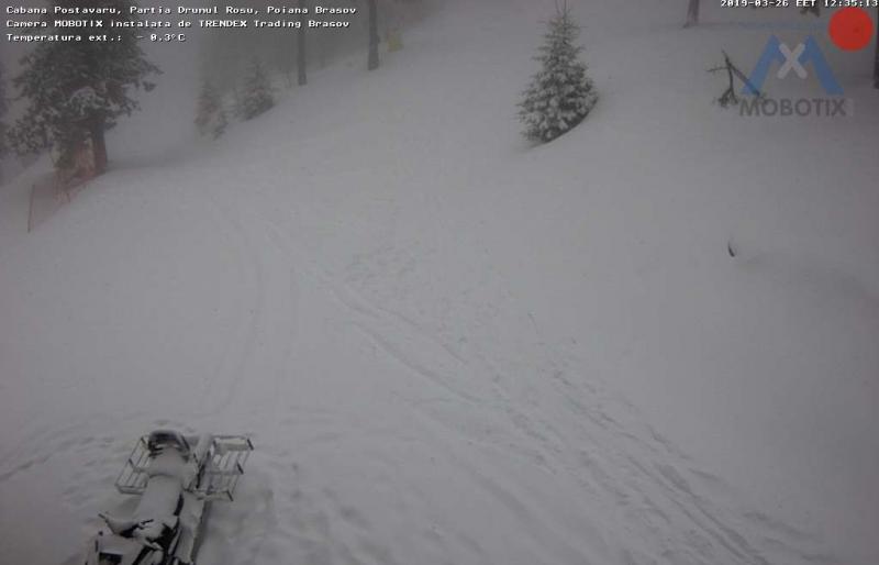 S-au întors ninsorile în România! Autoritățile au intrat deja în stare de alertă!