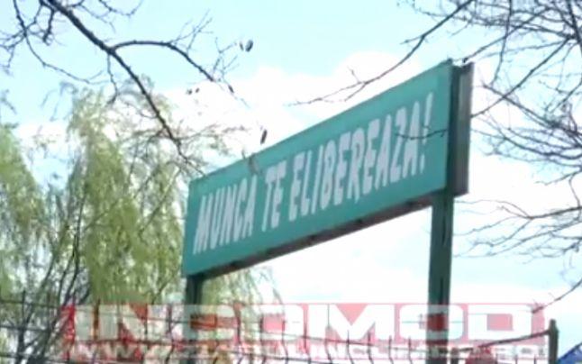 Lozinca nazistă a lagărului de concentrare de la Auschwitz, reprodusă în Prahova, pe poarta unei firme de stat