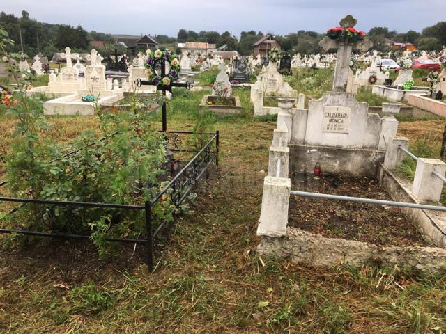 „Bieții de ei... Erau loviți cu capul de pereți până leșinau!”. Se caută vinovații pentru moartea celor 340 de copii din Orfelinatul Groazei din Suceava