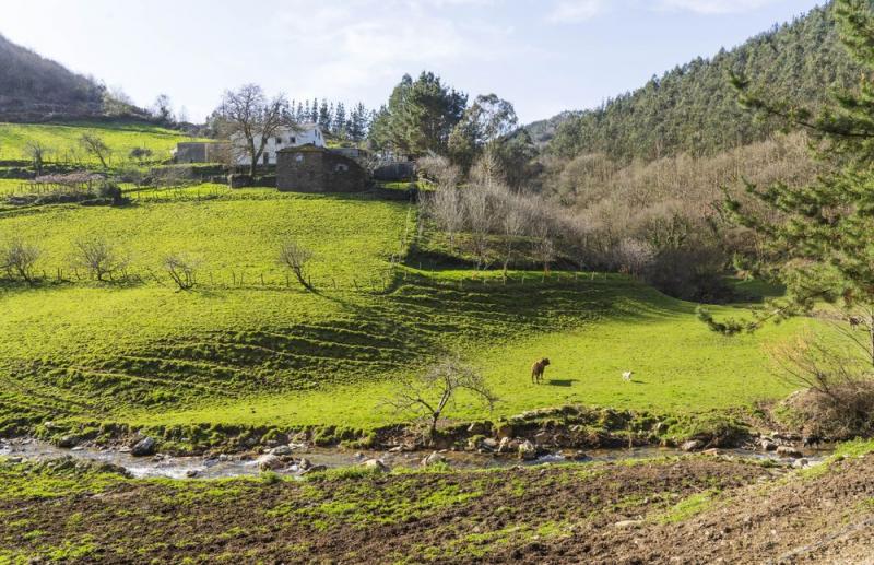 Sate vândute la preț de apartament! Cum te faci milionar peste noapte