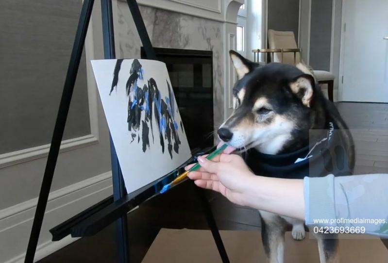 El este Hunter, câinele invidiat de pictorii din întreaga lume! Nimănui nu i-a venit să creadă când a văzut ce capodopere poate să picteze doar cu gura