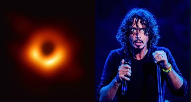 Gaura neagră fotografiată recent, denumită după un celebru artist cu milioane de fani! Despre cine e vorba