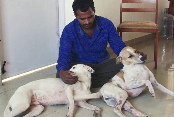 Emoționant! Un bărbat și-a cheltuit toți banii agonisiți în 10 ani pentru a cumpăra o ambulanță cu care poate ajuta animalele chinuite de pe stradă