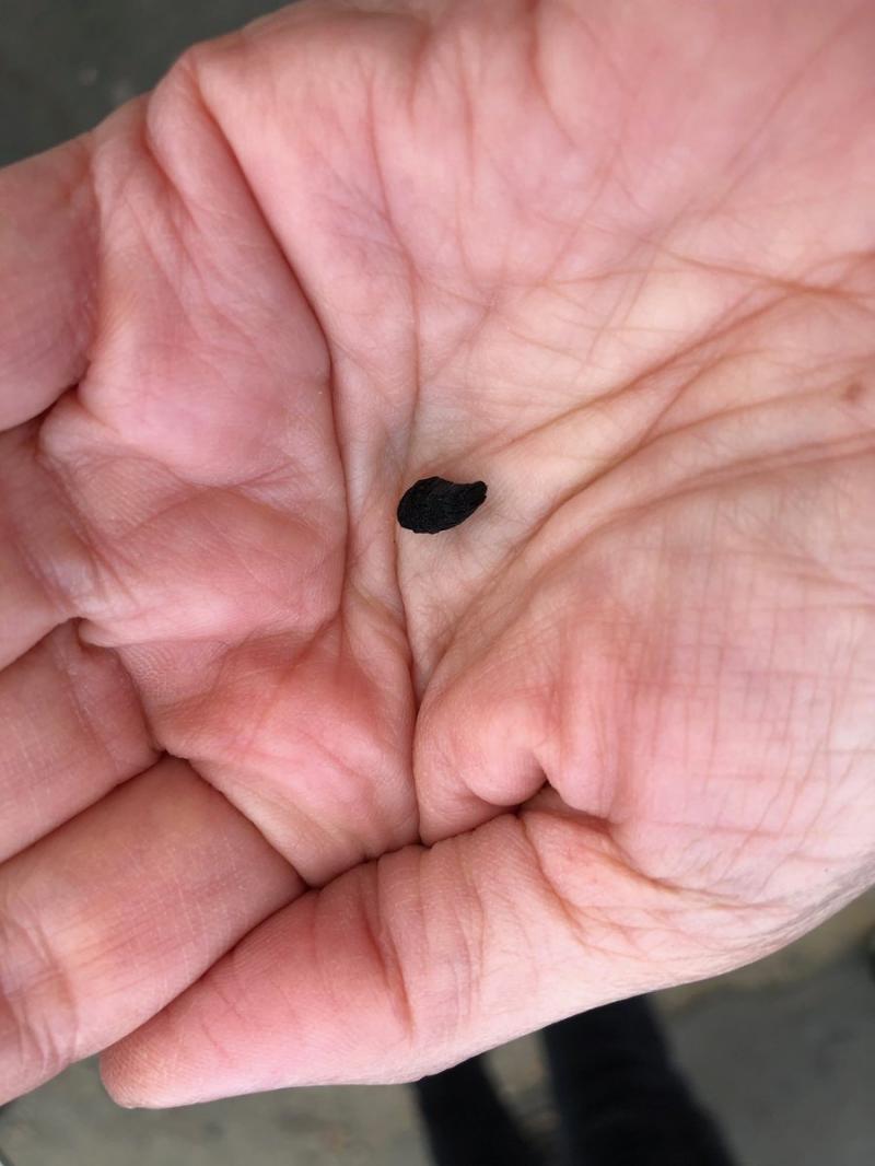 UPDATE! Prima reacţie a reprezentanţilor Bisericii Ortodoxe Române, după ce Catedrala Notre-Dame a luat foc: "Când arde simbolul, totul se ruinează"