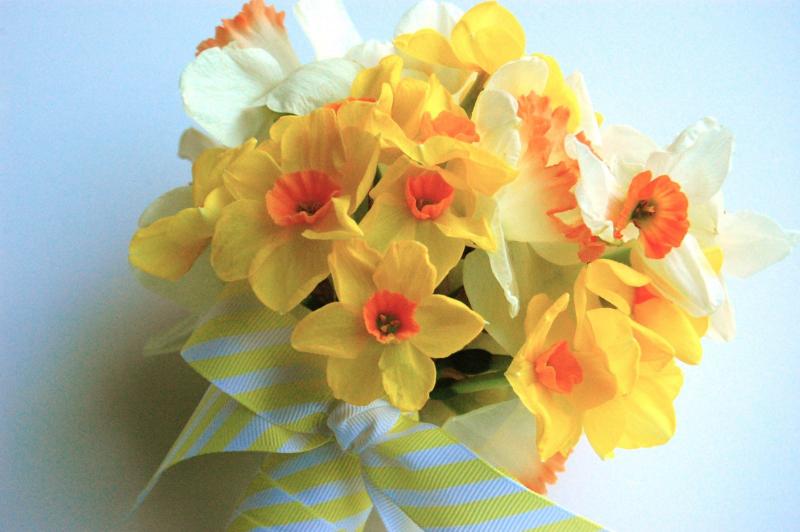 Amenajări casă: ce flori alegem pentru masa de Paște