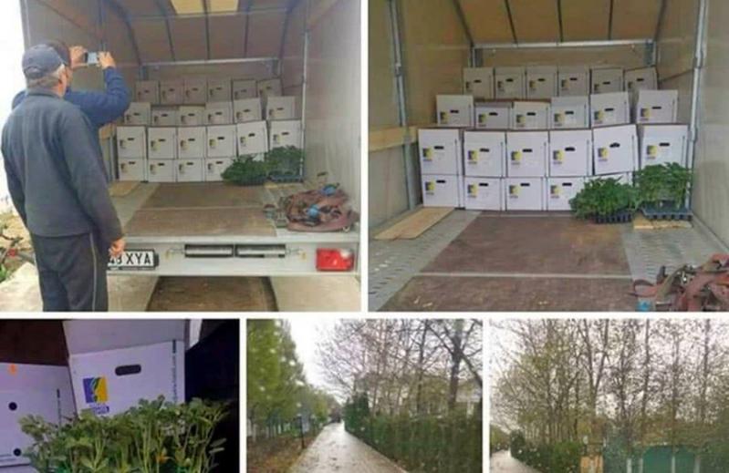 Gigi Becali lovește din nou! După ce un TIR a ajuns în fața vilei sale, omul de afaceri a explicat gestul său: "Fac pomenire pentru tata"