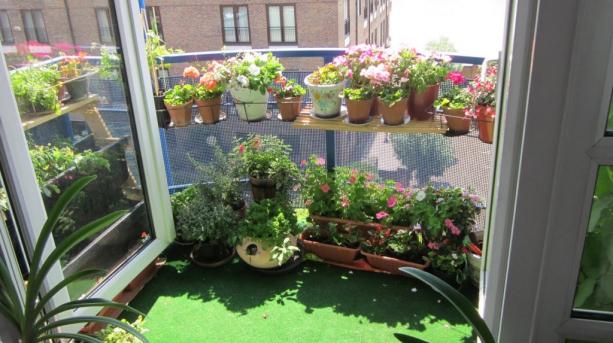 Balconul cu flori: Sfaturi și idei practice pentru amenajarea balconului