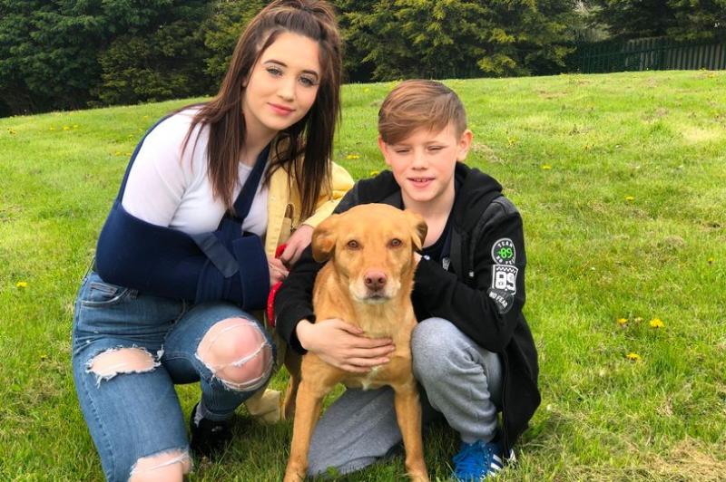 I-a smuls brațul! Câinele a atacat o tânără și a sfârtecat un alt câine! „Piciorul și șoldul erau smulse și era sânge ...” (FOTO)