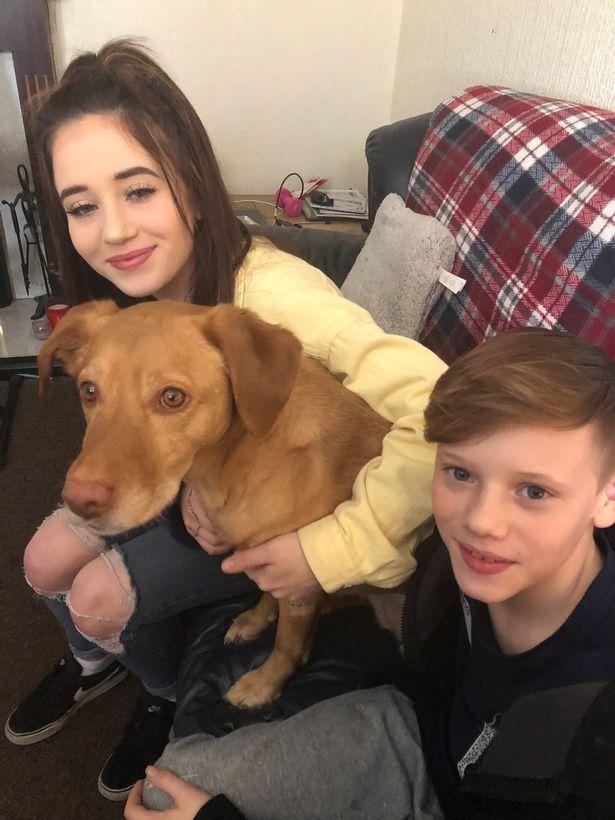 I-a smuls brațul! Câinele a atacat o tânără și a sfârtecat un alt câine! „Piciorul și șoldul erau smulse și era sânge ...” (FOTO)