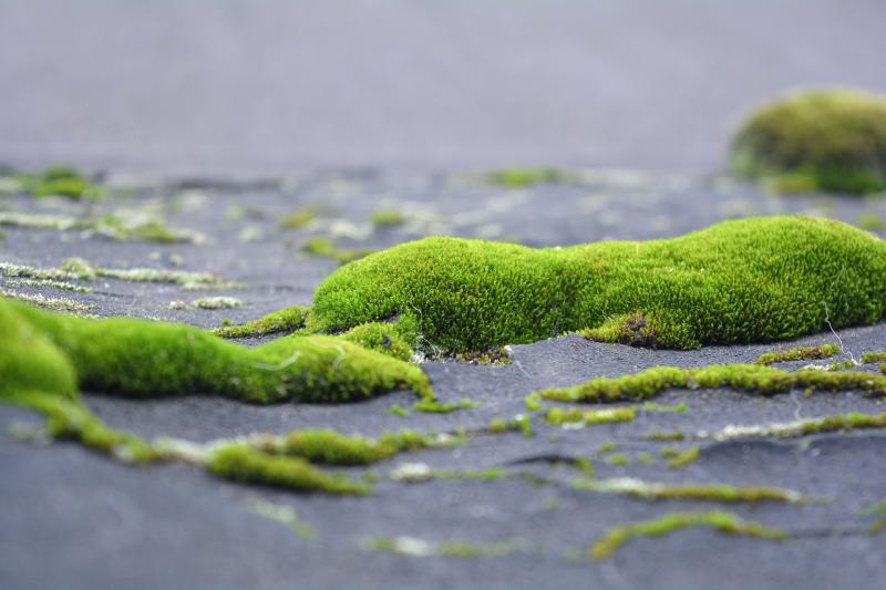 3 proiecte Do It Yourself care îți vor împrospăta locuința