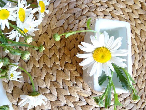 Horoscop floral. Cele mai potrivite flori pe care le poţi oferi de Florii