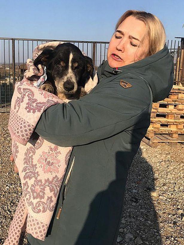 Câinele s-a întors dintre morți! Familia a trăit un adevărat șoc când a văzut minunea (FOTO)