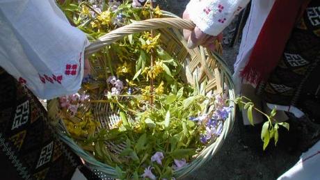 Floriile 2019. Tradiții, obiceiuri în sărbătoarea Intrarea Domnului în Ierusalim