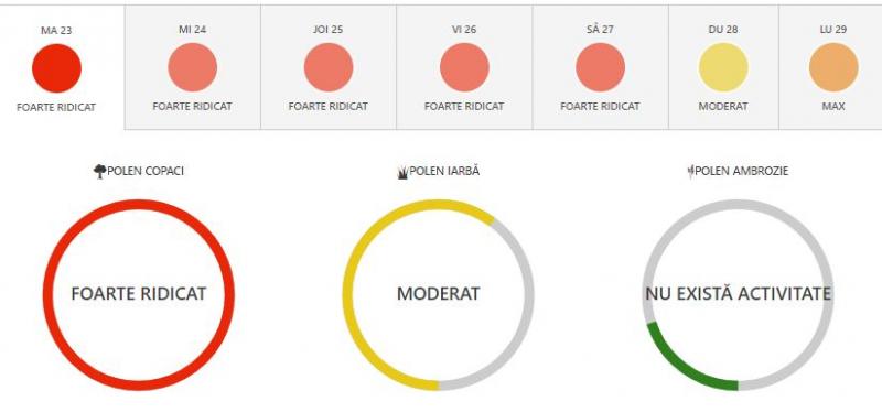 Alertă de polen în București. Cum recunoști alergia la polen: simptome și tratament