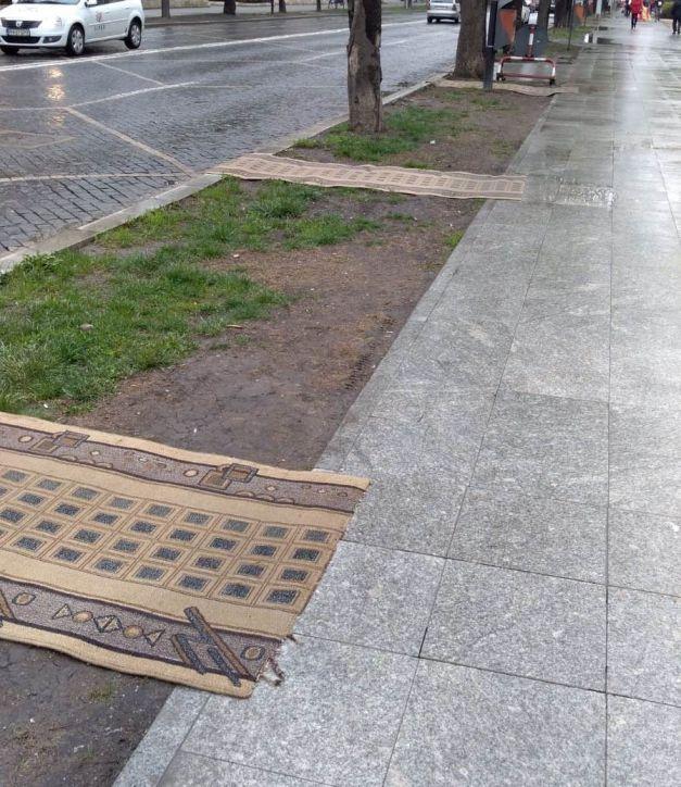 Autoritățile din Vrancea au pus covoare peste noroi pentru ca experții europeni să nu murdărească autocarul. Primire „românească” la Focșani pentru oaspeții europeni