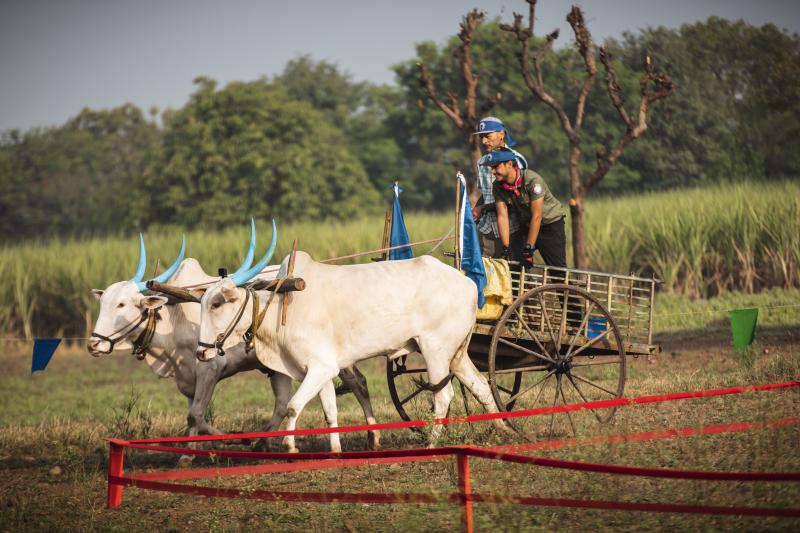 Vedetele de la „Asia Express” au trăit aventuri pe cinste! Au vopsit coarne de vaci, au dat localnicii cu turmeric pe față și și-au ars gâtul cu supă fierbinte de chili!