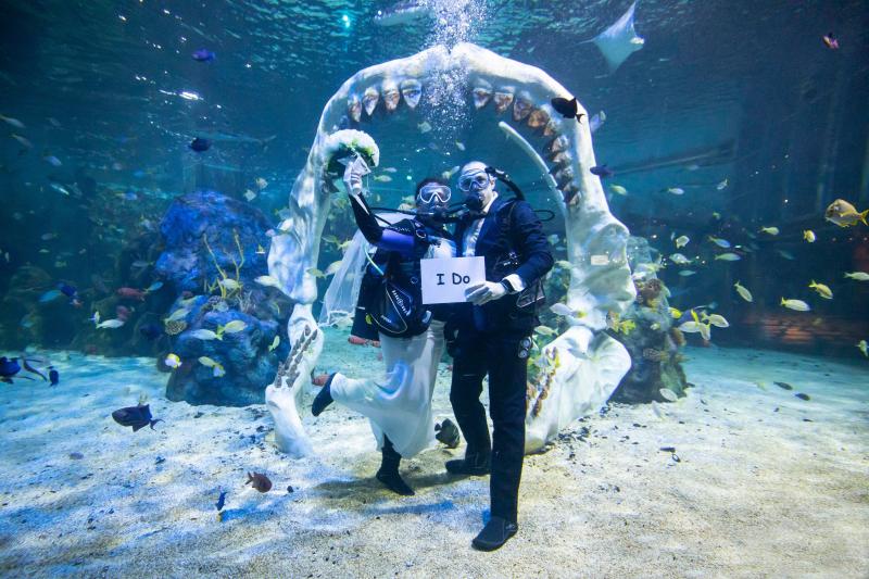 Au vrut să se căsătorească în locul pe care îl iubesc. Cei doi au spus „DA” sub apă, înconjurați de rechini - Foto