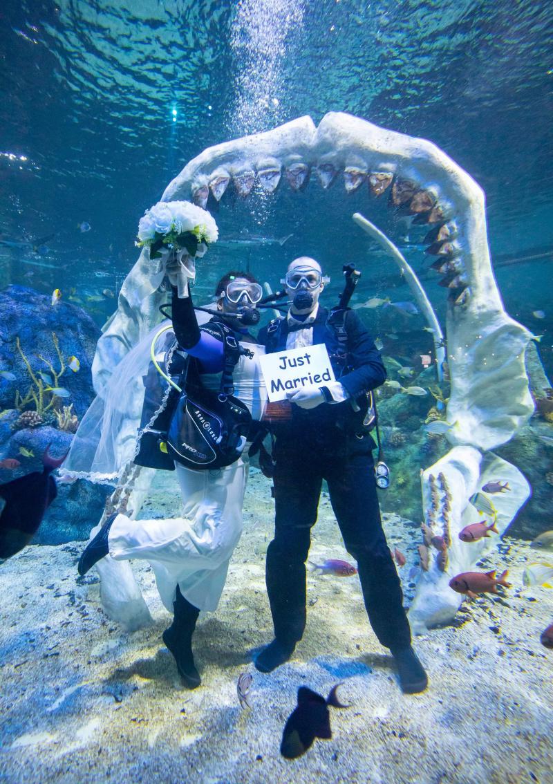 Au vrut să se căsătorească în locul pe care îl iubesc. Cei doi au spus „DA” sub apă, înconjurați de rechini - Foto