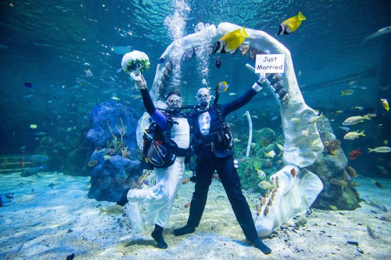Au vrut să se căsătorească în locul pe care îl iubesc. Cei doi au spus „DA” sub apă, înconjurați de rechini - Foto