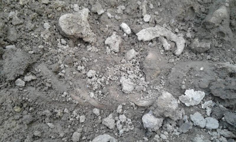 Panică pe un șantier din Vrancea! Muncitorii au fugit speriați când au văzut peste ce au dat în pământ (FOTO)