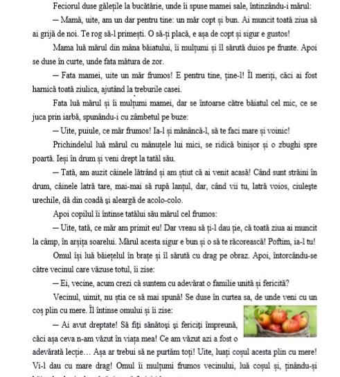 Evaluare Națională 2019, clasa 4, Română. Modele de subiecte și ce pică azi