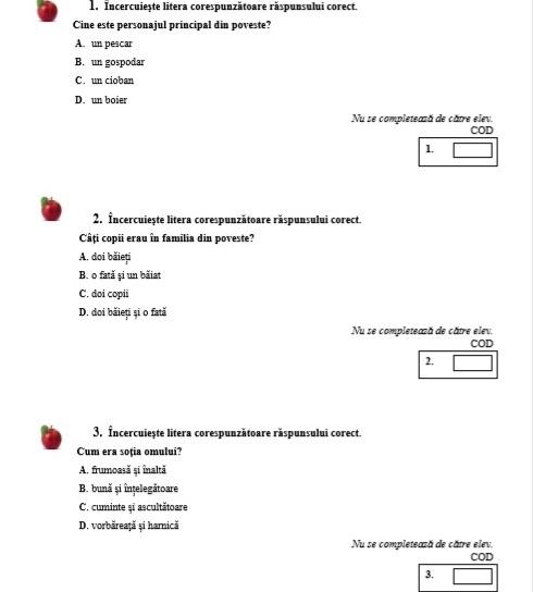 Evaluare Națională 2019, clasa 4, Română. Modele de subiecte și ce pică azi