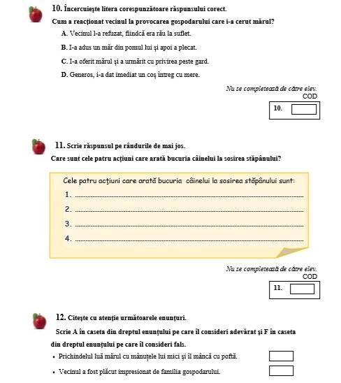 Evaluare Națională 2019, clasa 4, Română. Modele de subiecte și ce pică azi