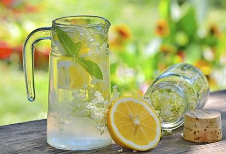 Rețetă socată. Cinci probleme de sănătate pe care le poți rezolva cu flori de soc