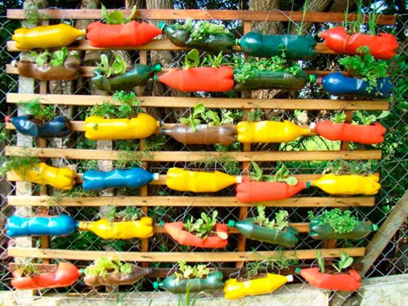 Amenajarea grădinii cu flori: Cum poți folosi sticle vechi de plastic în amenajare
