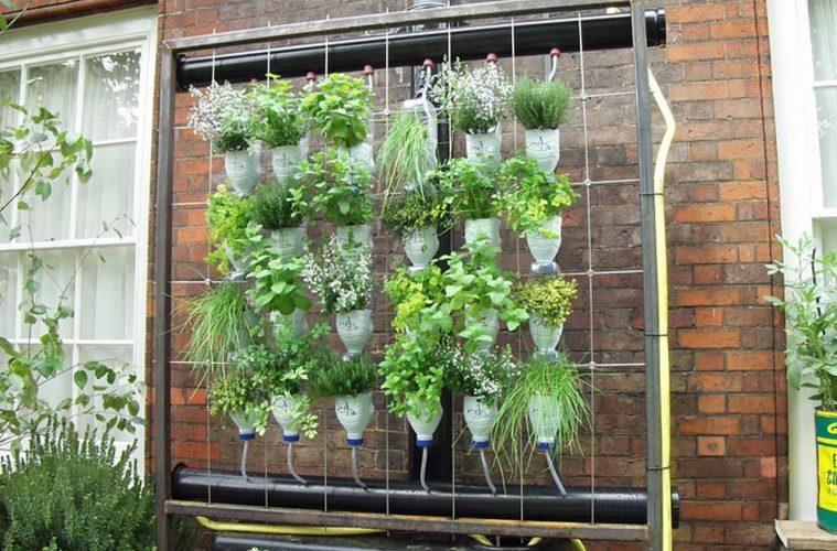 Amenajarea grădinii cu flori: Cum poți folosi sticle vechi de plastic în amenajare