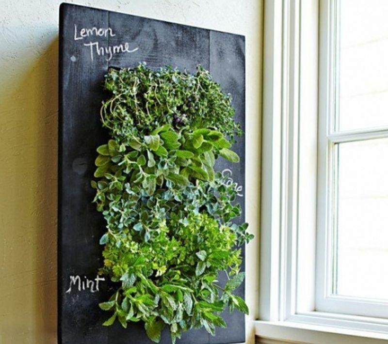 Amenajarea balconului. Cum transformăm pereții în grădini verticale