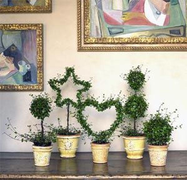 Amenajarea balconului. Cum transformăm pereții în grădini verticale