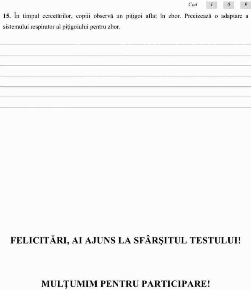 Evaluare Națională 2019 clasa a VI-a. Subiecte la Română, Matematică, Științe