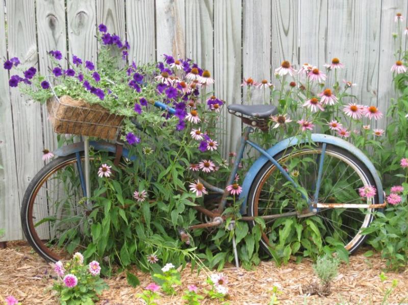 Amenajări grădini. Cum poți utiliza o bicicletă veche într-un mod genial