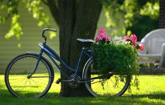Amenajări grădini. Cum poți utiliza o bicicletă veche într-un mod genial