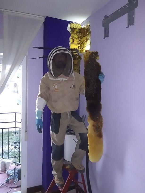 Au auzit un sunet ciudat în casă, provenind dintr-un perete. Când au descoperit cauza, au suferit un șoc - Foto